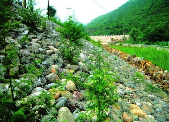 Anticorrosion Green Gabion Wire Mesh Can Be Planted Revetment River