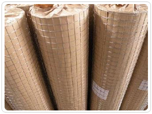 1*1Inch Low Carbon Steel Insulation Welded Steel Wire Mesh For Wall Protection