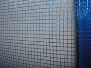 BWG32 Plastic Window Screen Roll Polyethylene Window Wire Net 16X18 Mesh