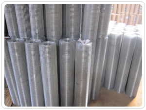Anticorrosion 1/4 Inch Welded Wire Mesh Electric Galvanized Net 5-50m ...