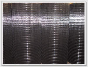 Black PVC Coated Welded Steel Wire Mesh Low Carbon 6mm