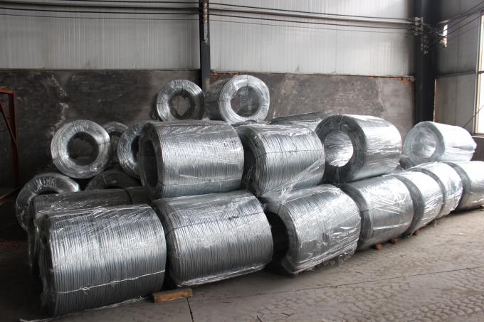 HEBEI TALIN TRADING CO.,LTD factory production line 1