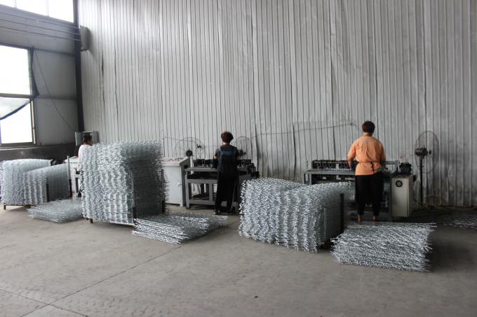 HEBEI TALIN TRADING CO.,LTD factory production line 5