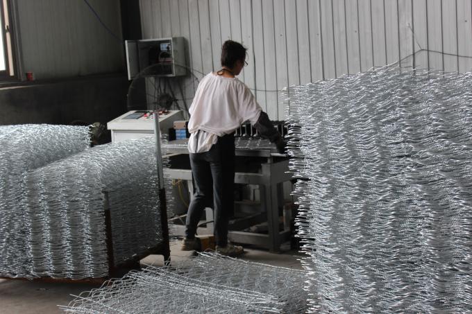 HEBEI TALIN TRADING CO.,LTD factory production line 6